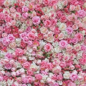 Meet your Posher, Kia